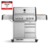 Big EARL Premium-Gasgrill 4-Brenner