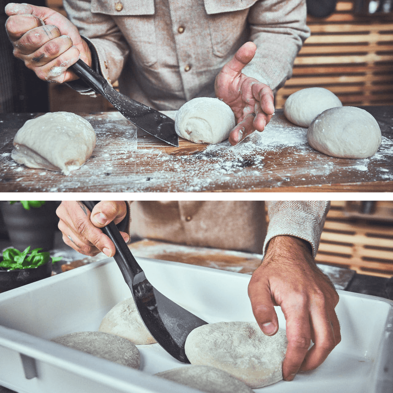 Backstubenszene Pizzateig wird mithilfe des Teigspachtels in Form gerollt und zum Reifen in Ballenbox gelegt Backstubenszene Pizzateig wird mithilfe des Teigspachtels in Form gerollt und zum Reifen in Ballenbox gelegt