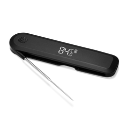Einstich-Thermometer