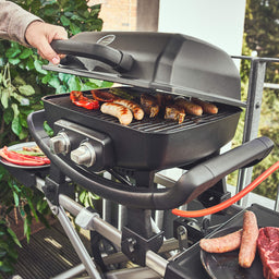 WAYNE Balkongrill 2-Brenner inkl. Rollwagen