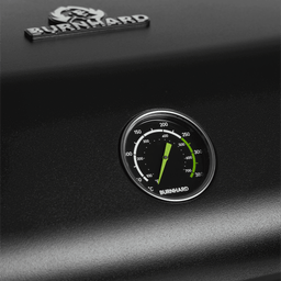 Thermometer WAYNE Series 2
