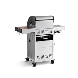 945506_ 945965 FRED Junior 2-Brenner Gasgrill Deluxe von hinten