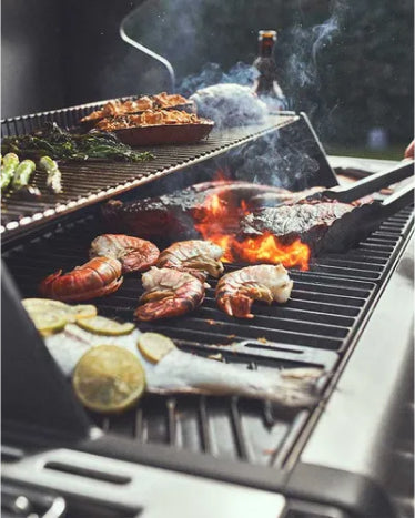 Burnhard 2025 gas grill